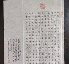 《快雨堂题跋》节选 赵子琪