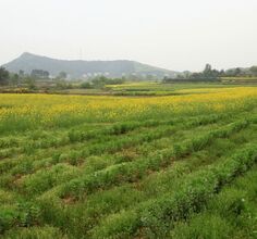 清明拍台山