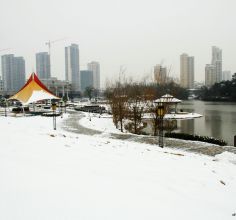 雪中原野