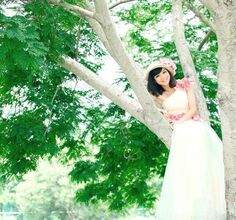 【婚纱照赏析】 为了婚纱照新娘都爬到树上去啦