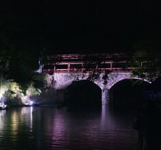 雨中缷甲坪油菜花节实景晚会拾零