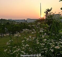 晚霞中的市民广场二